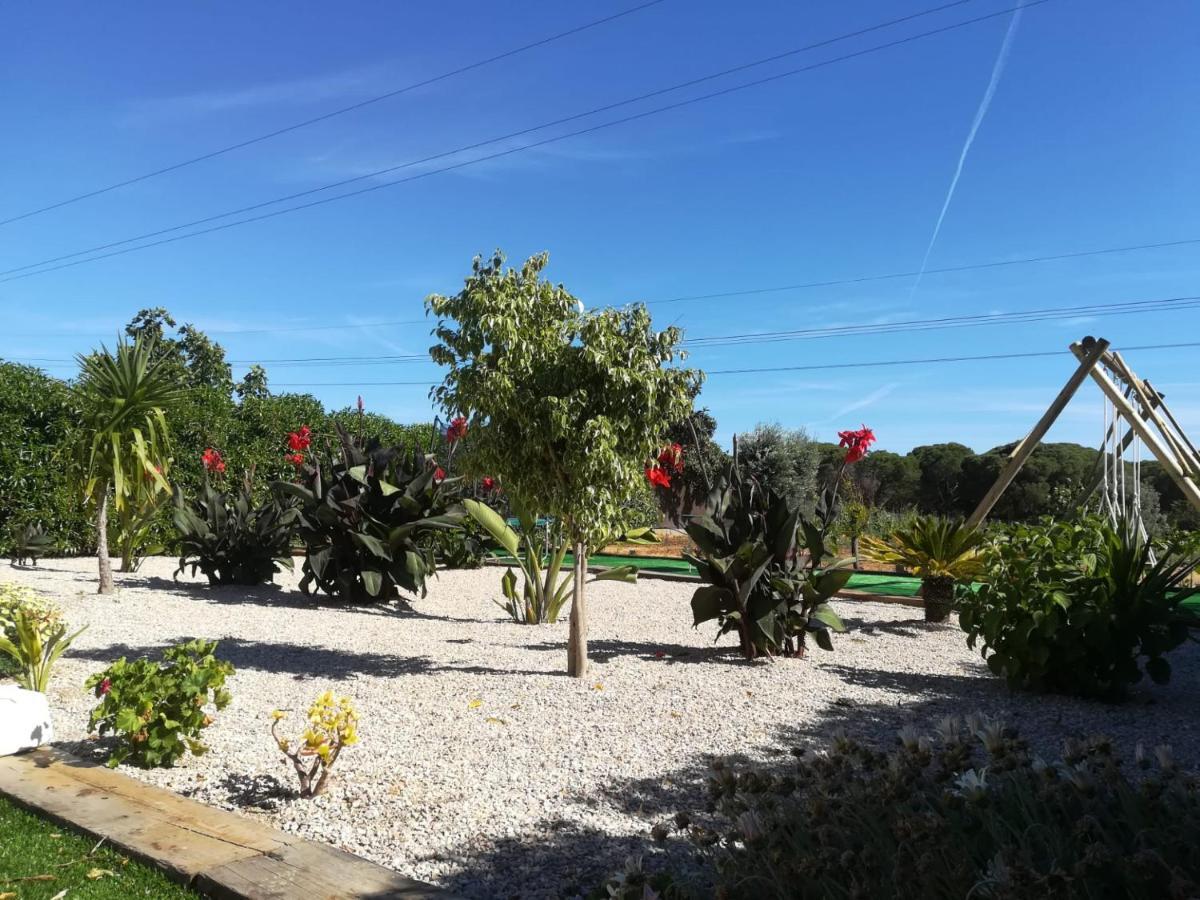 Quinta Das Palmeiras Quarteira Bagian luar foto